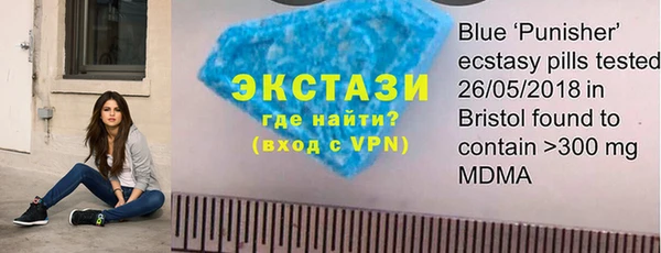 ECSTASY Богородицк